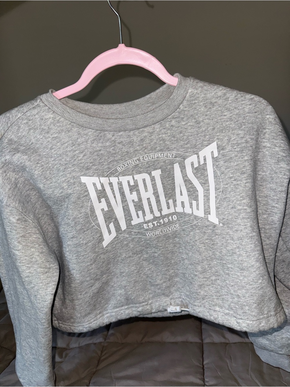 Everlast Gray Cropped Sweatshirt - Everlast Logo